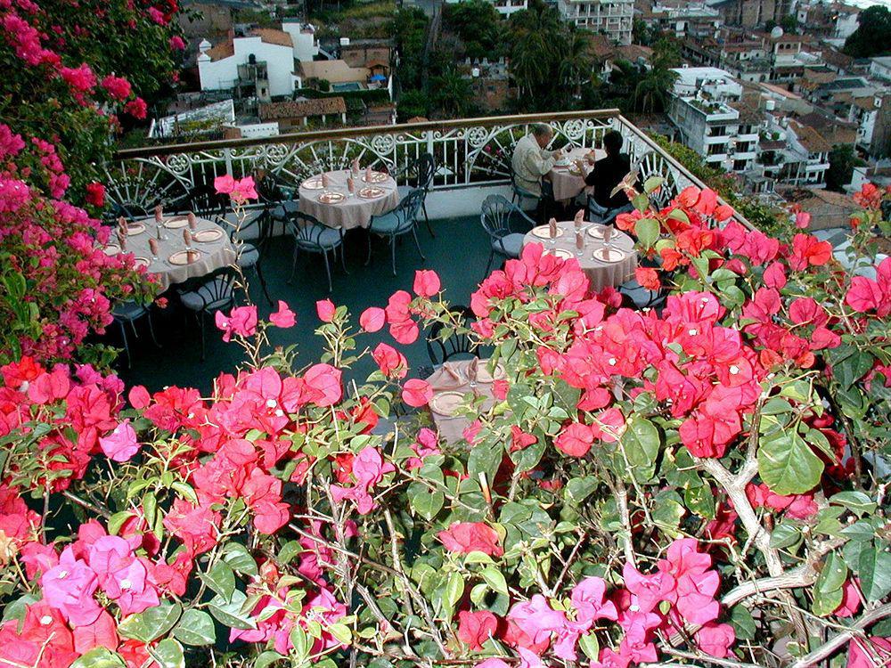 Hotel Suites La Siesta Puerto Vallarta Extérieur photo